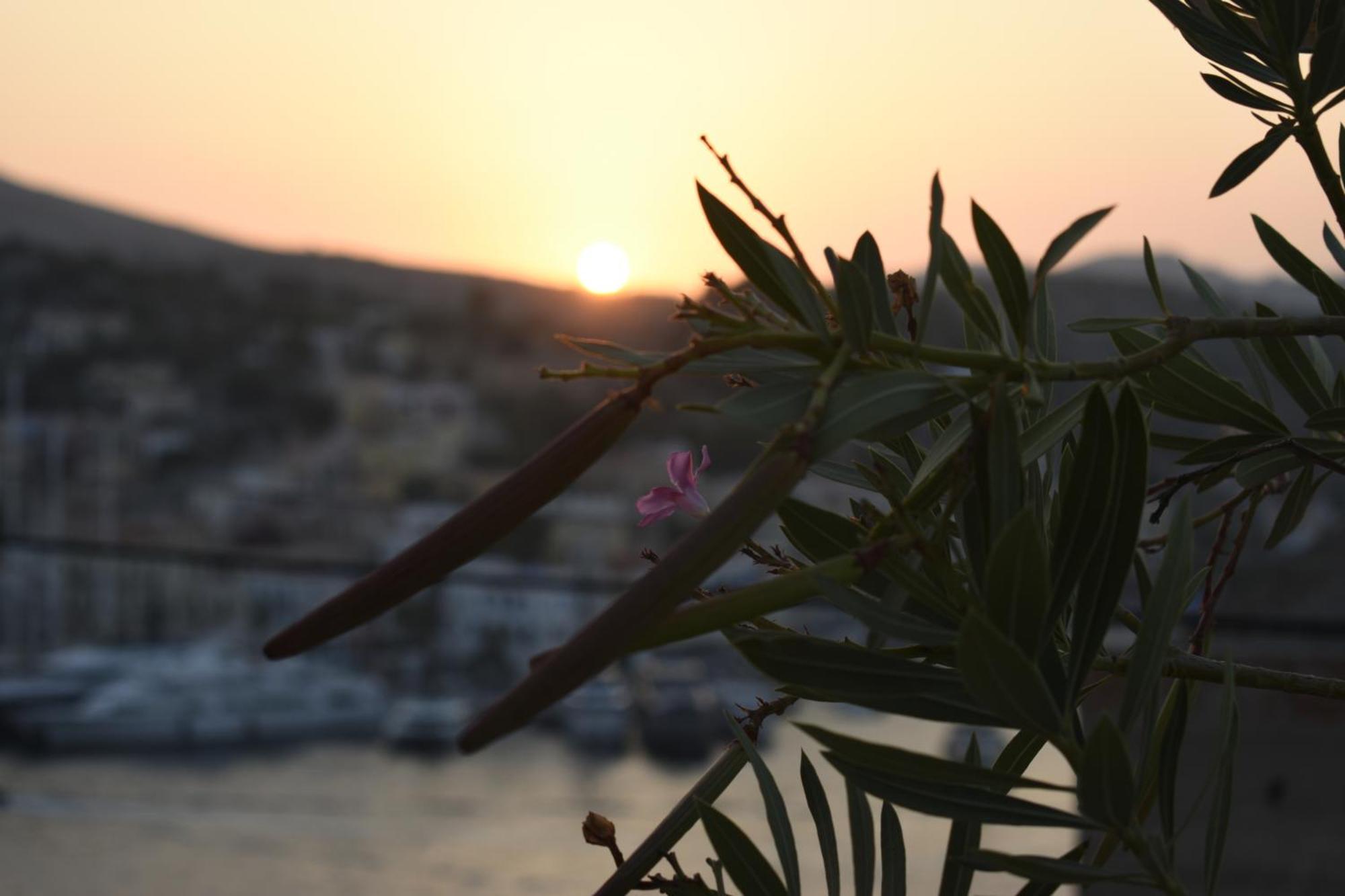 Marea Studios Symi Exterior foto